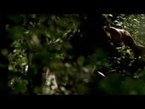 vampyres - bande anonnce