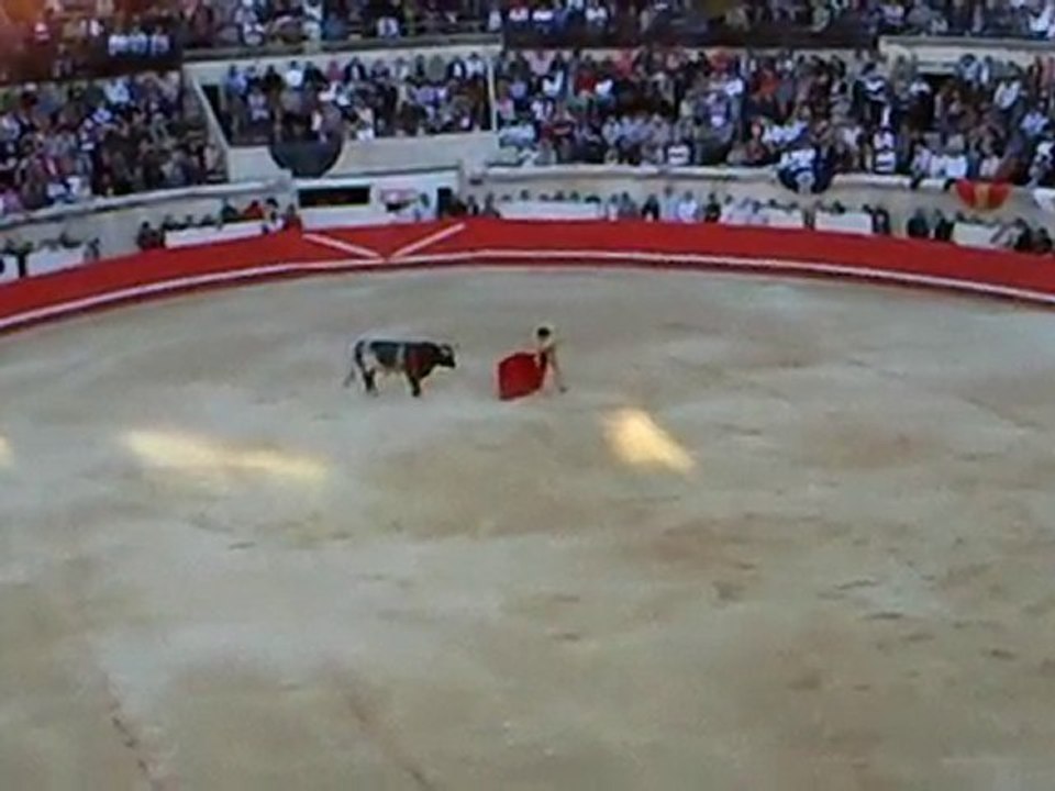 El Juli avec un toro de La Quinta
