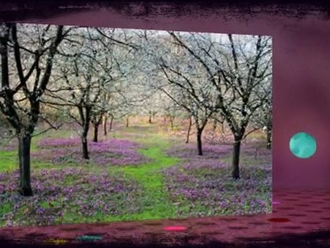 DERTLERİMİ ZİNCİR YAPTIM (Gönül Sızısı Hayran Grubu)