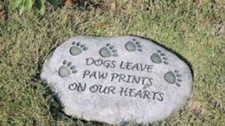 Evergreen 84576 Garden Stone, Dogs Leave Paw Prints on Our