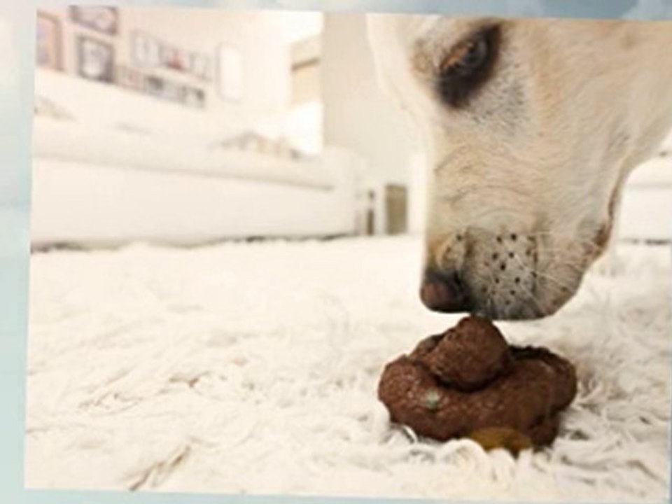 How To Clean A Red Wine Stained Carpet?