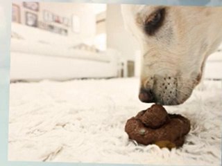 How To Clean A Red Wine Stained Carpet?