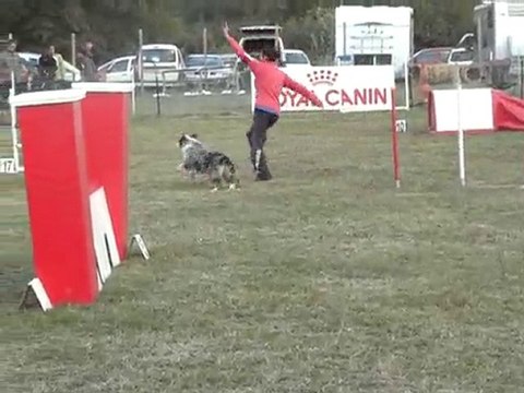 daytona jump st juery