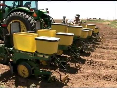 Fibertech Uses Texas Cotton to Clean up Gulf Oil Spill