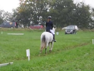 Complet Theux 2010 : Zoé et Vacqueyras dressage