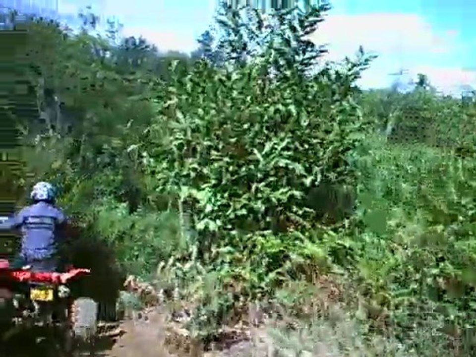 POLARIS CAMP5