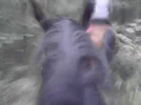 29/09/2010 galop à fond !