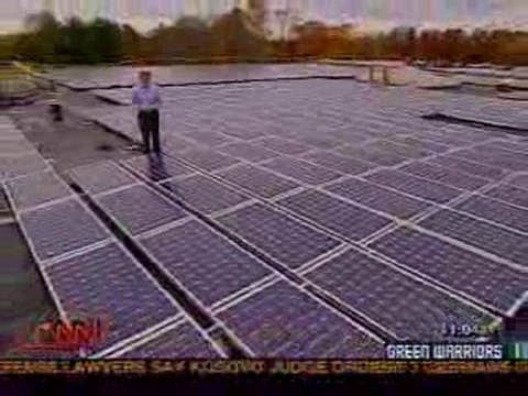 Can Pond Scum Become Next Generation of Fuel?