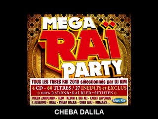 PROMO VIDEO MEGA RAI PARTY 2010