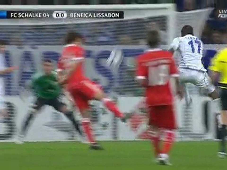 Schalke - Benfica