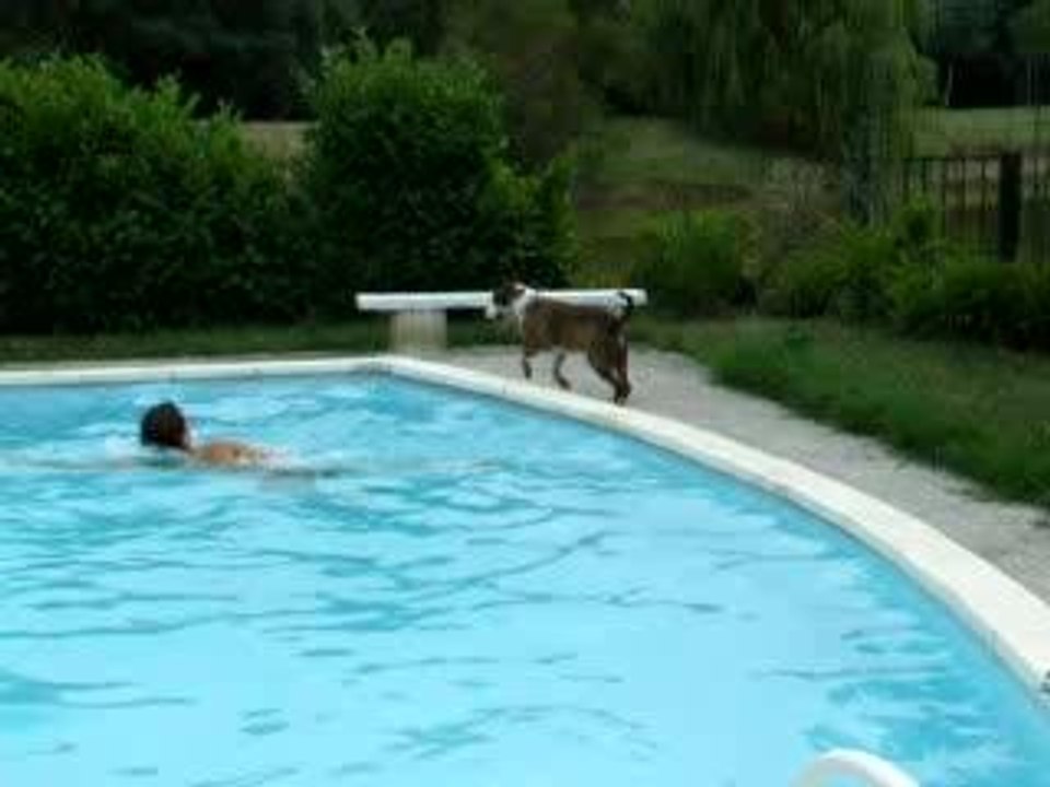 buck piscine