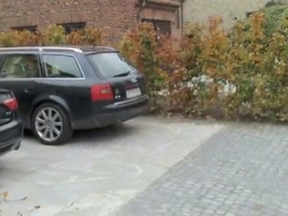 Anlægsgartner København K Calanthe ApS