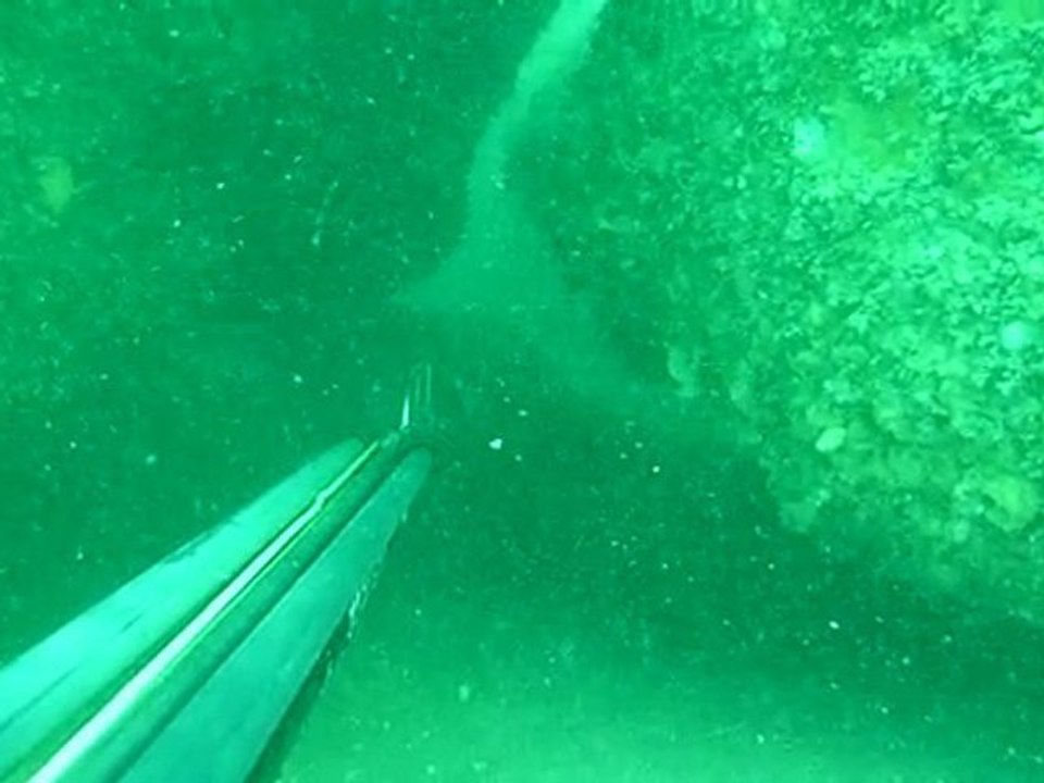 Cap Gris Nez 1 sept 2010 -1