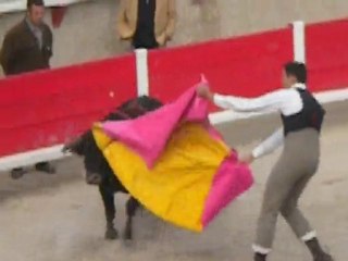 Graines de toréros Bezouce 2010 LA REALITE