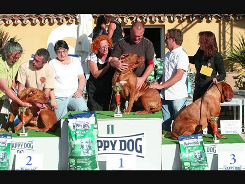 La Tour Gelée - FRENCH CLUBMATCH 2010 -