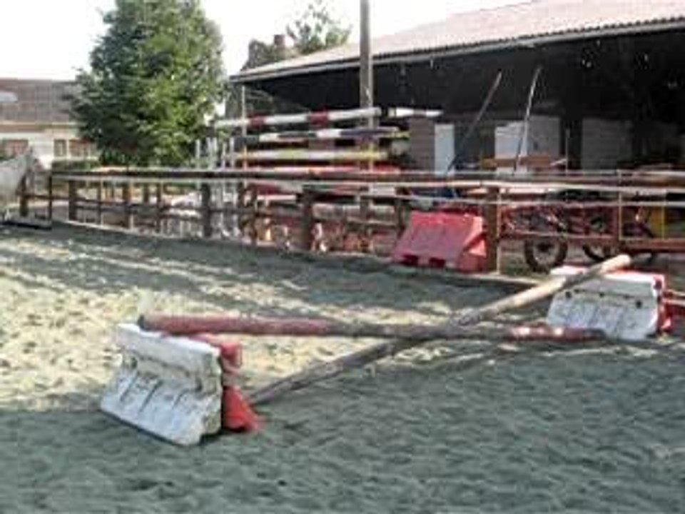 Lys et le saut