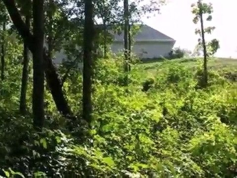 Homes for Sale - 207 Windham Cir - Yorkville, IL 60560 - Col