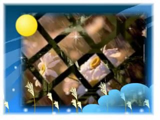 Sen eşittir ben demektirrrr:)