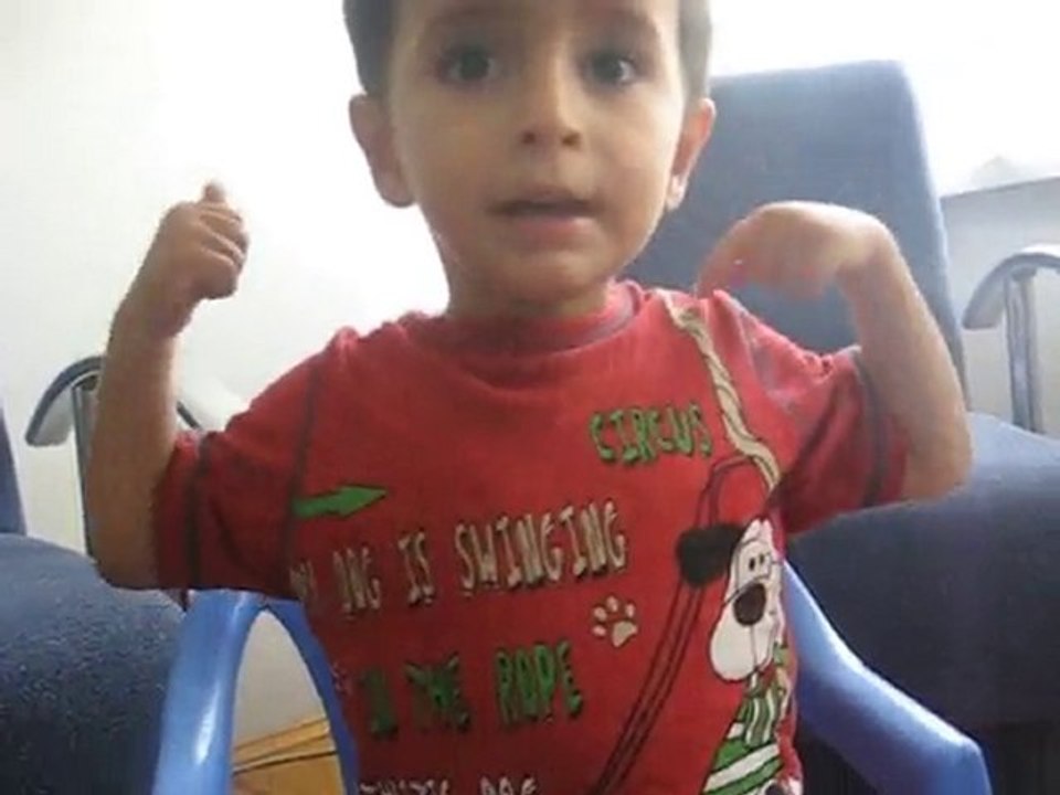 pişşş kediler