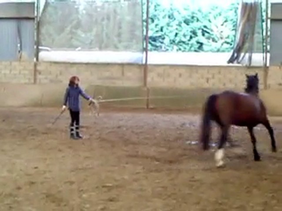 Moi et Ram-Dam le mercredi 29 septembre en séance de longe !