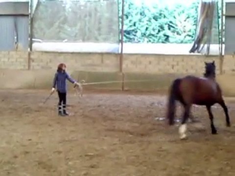 Moi et Ram-Dam le mercredi 29 septembre en séance de longe !