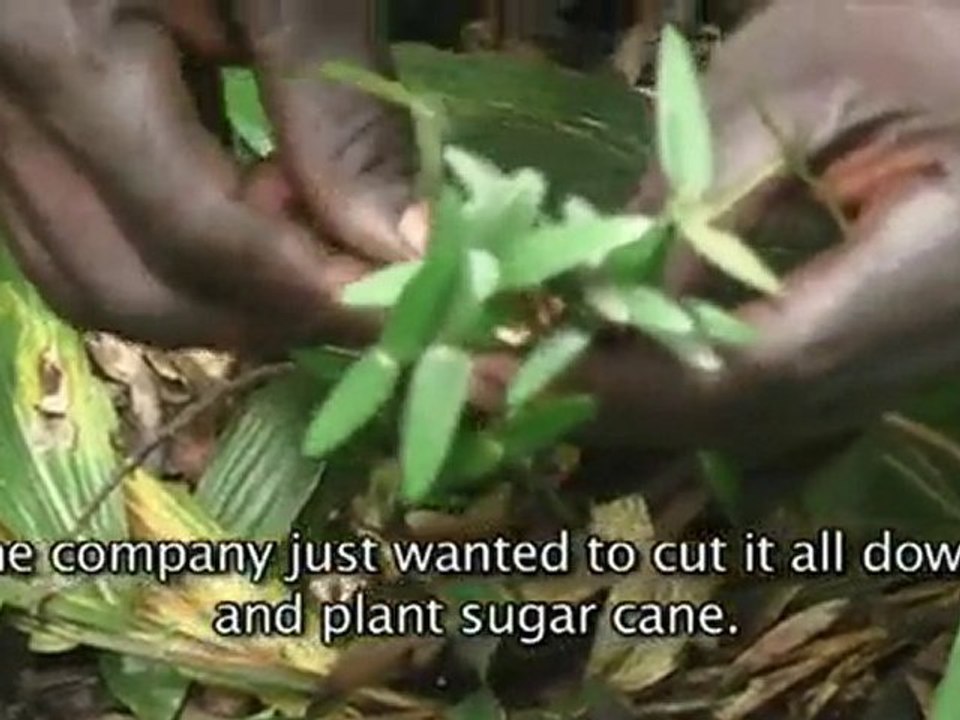 FGLG draft 20 Minute Film 26/09/10