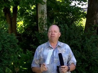 Beginner's Guide to Perfect Barbecues 🍖 | Tips & Resources