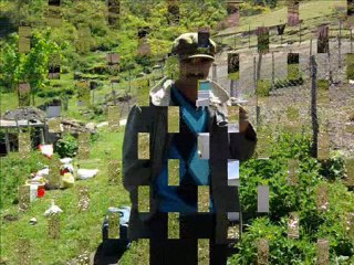 Kenan BÖREKÇİ Cemile