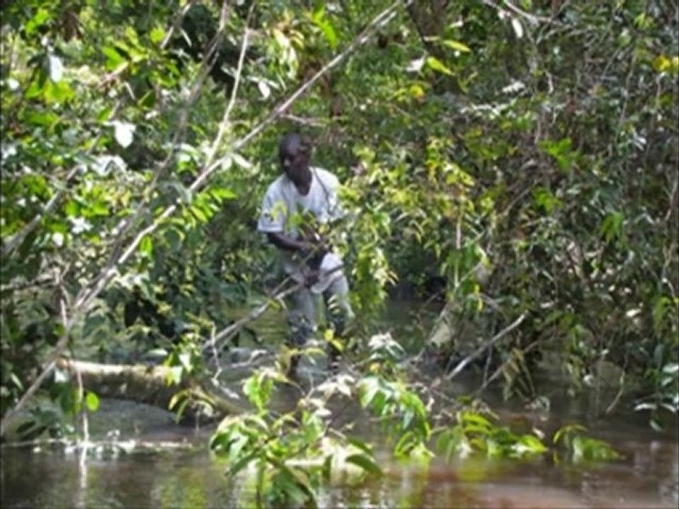 MOMBA SUITE 01 par HÉLÈNE