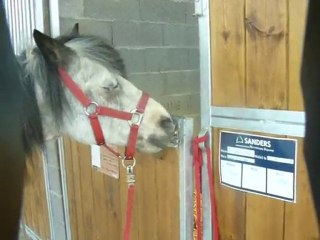 Gavroche ouvre la porte de son box