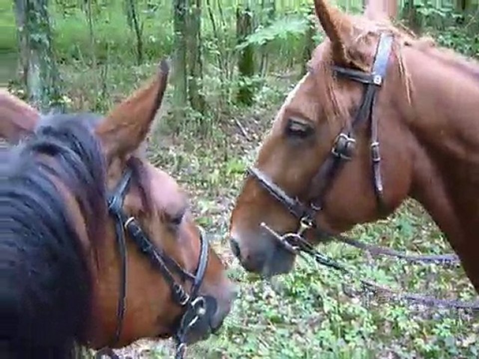 Balade copines & cousins