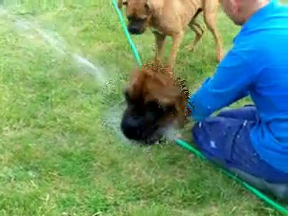 Eve et l'eau