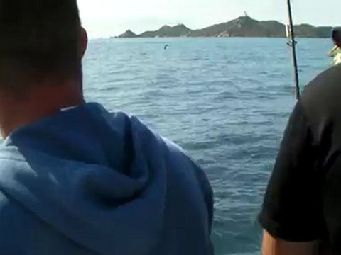 casse sur thon pêche en corse sur ajaccio