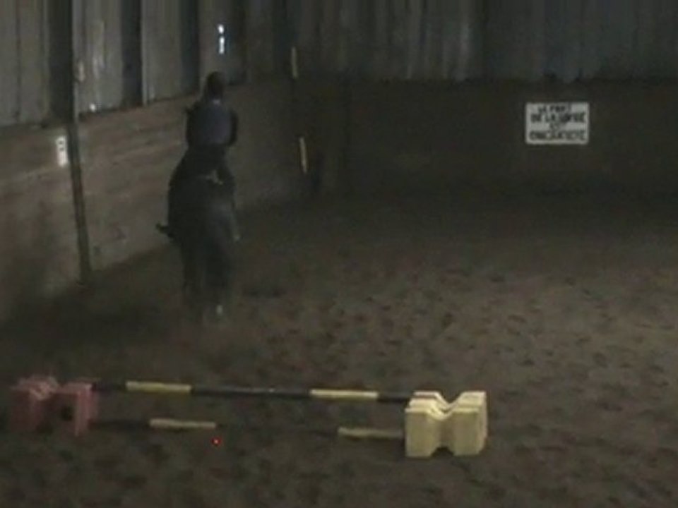 saut1