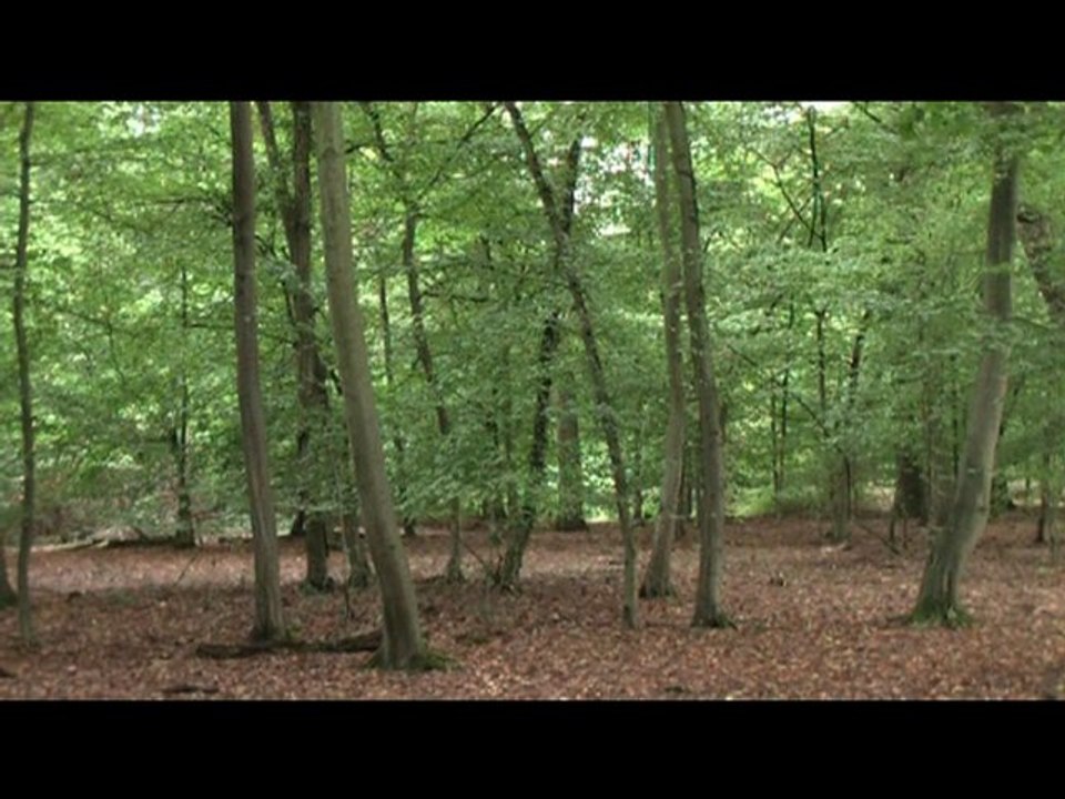 Viviane de Renée Vivien