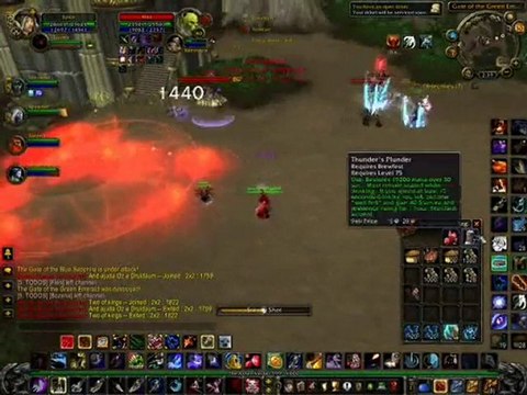 Epica Hunter lvl 80 PvP - WoW