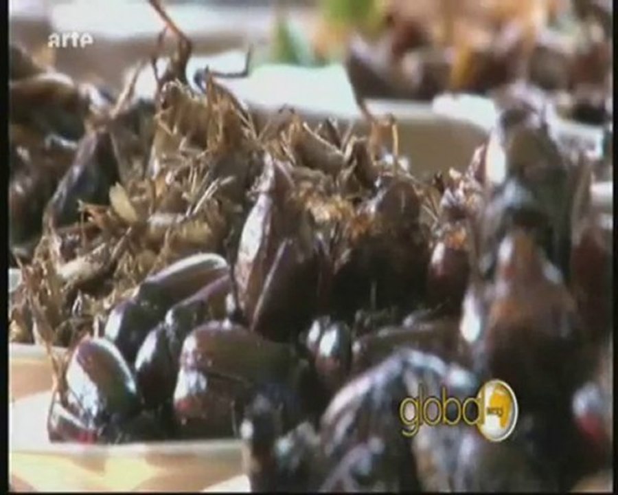 Les insectes à déguster (1)