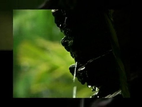 NJ Landscaper|landscaping NJ|Green Star Lawn Care