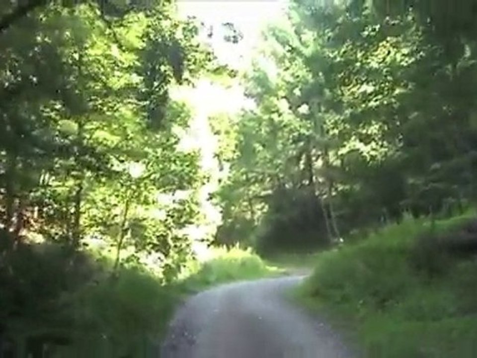 POPO FORET