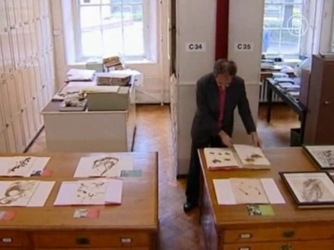 Каждый пятый вид растения может исчезнуть