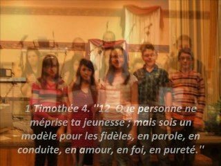 Projet M.E.C. 2010-2011