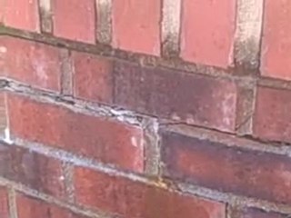 Charlotte Home Inspector Finds a Leaky Fountain