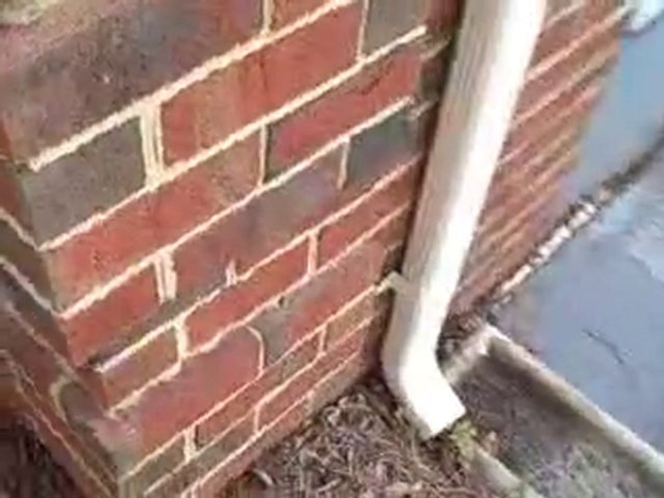Root Problem Found on Charlotte Home Inspection