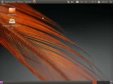 Ubuntu 10.10 Release Candidate