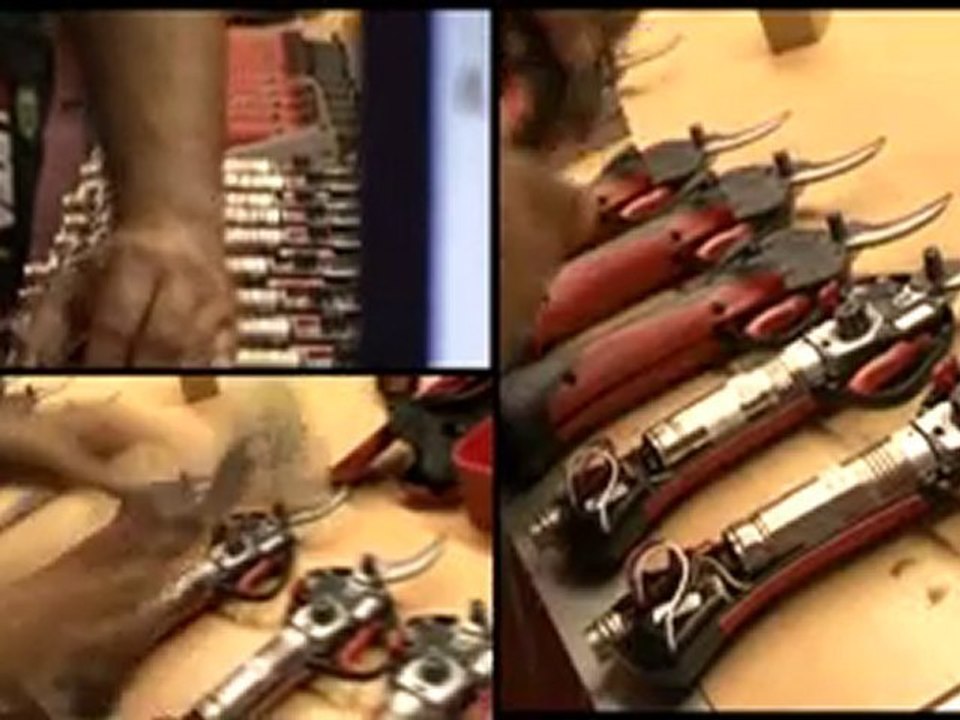 Infaco - Révision Annuelle de votre sécateur