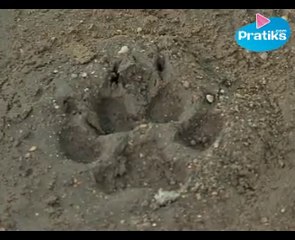 Comment faire un moulage d'empreinte ?