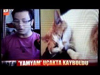 Yamyam @ ATV Ana HAber!