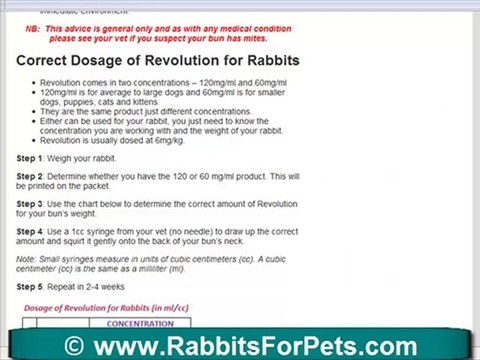 Rabbit Mites - Treatment for Pesky Rabbit Mites