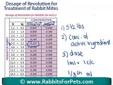 Rabbit Mites - Revolution Dosage for Rabbit Mites