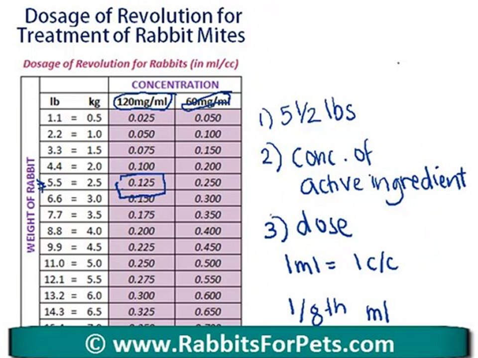 Rabbit Mites Revolution Dosage for Rabbit Mites video Dailymotion